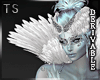 feathers_icon