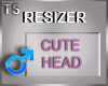 Resizer_Head